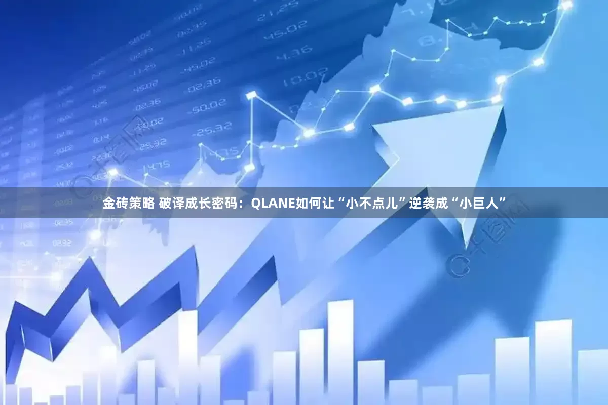 金砖策略 破译成长密码：QLANE如何让“小不点儿”逆袭成“小巨人”